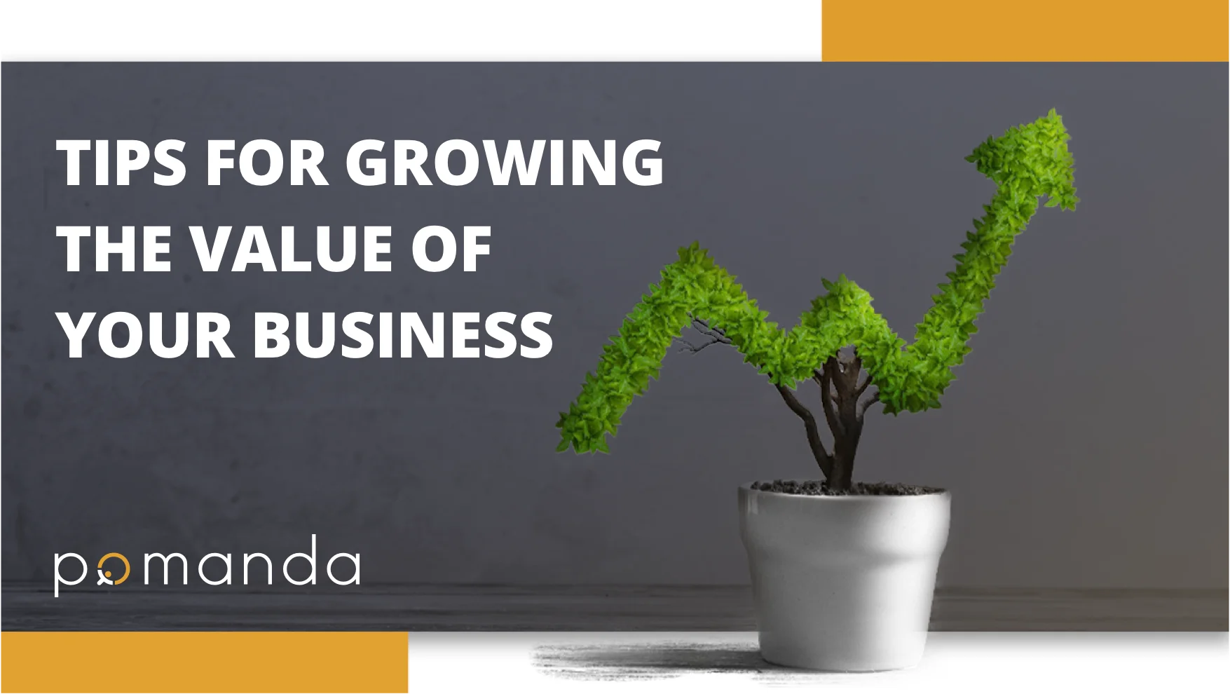 Building value in your business post covid